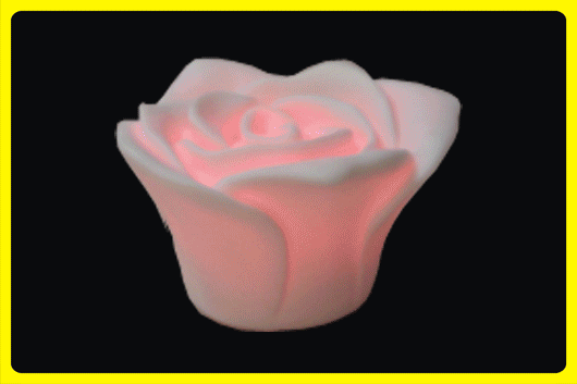 Flashing rose